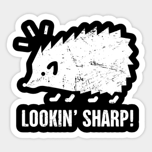 Cute And Funny Pet Hedgehog Graphic Sticker